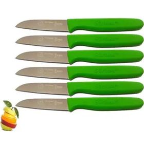 Sürbisa 61007 Yeşil Saplı 6 Parça Meyve Bıçağı