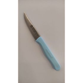 Sürdövbısa 61001 Açık Mavi 8 cm Meyve Bıçağı