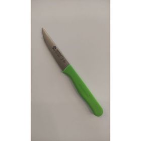 Sürdövbısa 61001 Açık Yeşil 8 cm Meyve Bıçağı