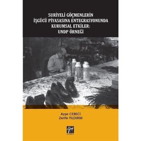 Suriyeli Göçmenlerin İşgücü Piyasasına Entegrasyonunda Kurumsal Etkiler - UNDP Örneği - Ayşe Cebeci & Zerife Yıldırım