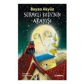 Sürmeli Kedinin Arayışı - Beyza Akyüz