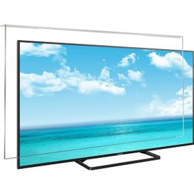 Survan Panasonic TX40DS503E TV Ekran Koruyucu