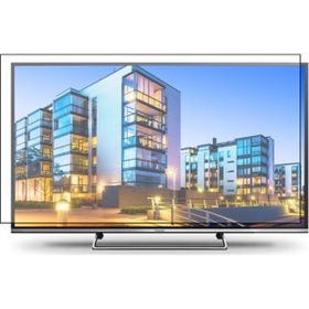 Survan Panasonic TX40DS503E TV Ekran Koruyucu