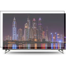 Survan Panasonic TX50DX703E TV Ekran Koruyucu