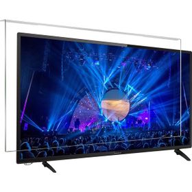 Survan Profilo 49PA705T TV Ekran Koruyucu