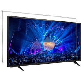 Survan Profilo 49PA705T TV Ekran Koruyucu
