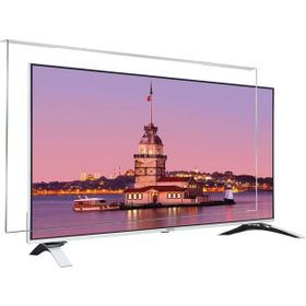 Survan Vestel 49FA5000 TV Ekran Koruyucu
