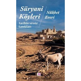 Süryani Köyleri - E Yayınları