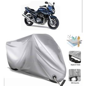 Suzuki Gsf 1200 Bandit S Motor Brandası
