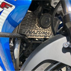 Suzuki Gw 250F Motor Brandası
