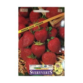 Sveryverts Çilek Tohumu