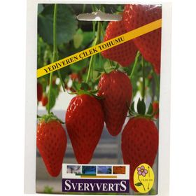 Sveryverts Çilek Tohumu