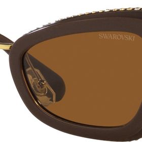 Swarovski 0SK6012 101173 52 Kadın Güneş Gözlüğü