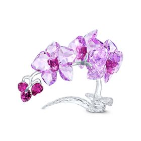 Swarovski 5520373 Biblo