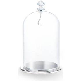 Swarovski 5527606 Bell Jar Dısplay, Large Ev Dekorasyonu Objesi