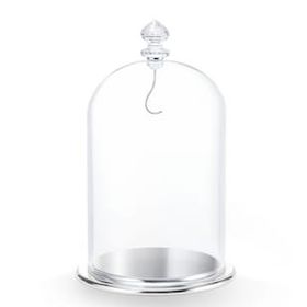 Swarovski 5527606 Bell Jar Dısplay, Large Ev Dekorasyonu Objesi