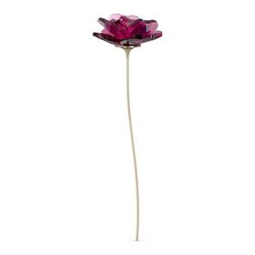 Swarovski 5557800 Biblo