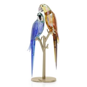 Swarovski 5619218 Jungle Beats Parrot Couple Biblo