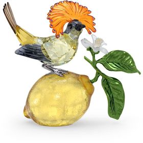 Swarovski 5651811 Idyllia Royal Flycatcher Biblo