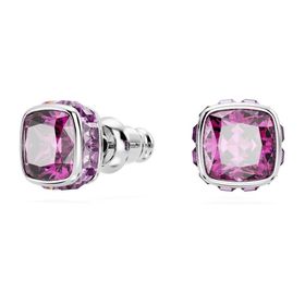 Swarovski 5660797 Birthstone Pe Studs Feb Pur-Rhs Küpe