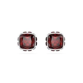 Swarovski 5660798 Kadın Küpe