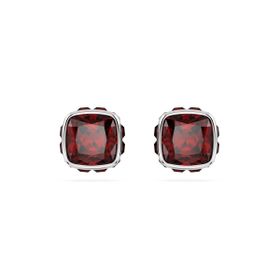 Swarovski 5660798 Kadın Küpe