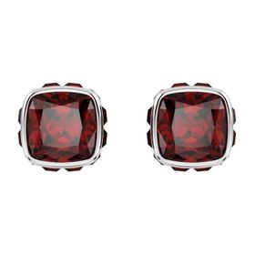 Swarovski 5660798 Kadın Küpe