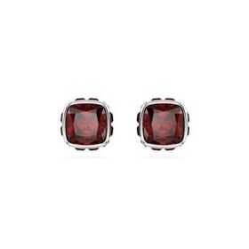 Swarovski 5660798 Kadın Küpe