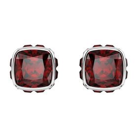 Swarovski 5660798 Kadın Küpe