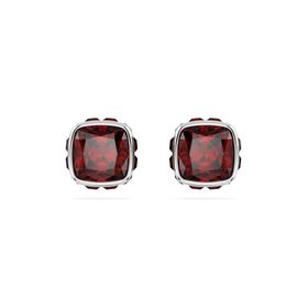 Swarovski 5660798 Kadın Küpe