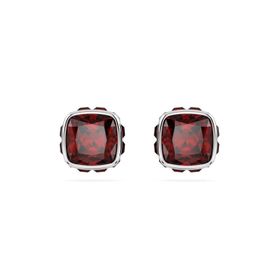 Swarovski 5660798 Kadın Küpe