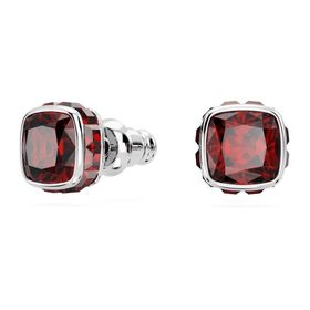 Swarovski 5660798 Kadın Küpe