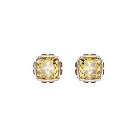 Swarovski 5660802 Birthstone Pe Studs Nov Yel-Rhs Küpe