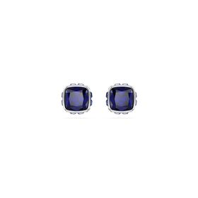 Swarovski 5660803 Kadın Küpe