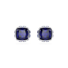 Swarovski 5660803 Kadın Küpe