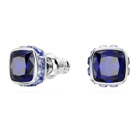 Swarovski 5660803 Kadın Küpe