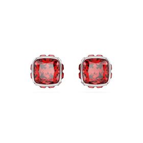 Swarovski 5661959 Kadın Küpe