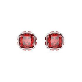 Swarovski 5661959 Kadın Küpe