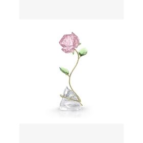 Swarovski 5666973 Florere Rose Ev Dekorasyonu