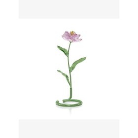 Swarovski 5668065 Florere Peony Ev Dekorasyonu