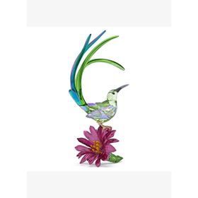Swarovski 5675166 Idyllıa Sugarbird and Cactus Flower Biblo