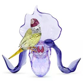 Swarovski 5675211 Idyllia Gouldian Finch And Orchid Biblo