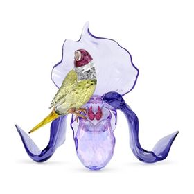 Swarovski 5675211 Idyllia Gouldian Finch And Orchid Biblo