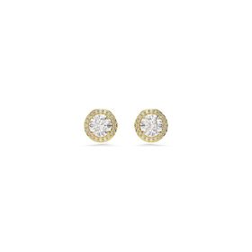 Swarovski 5686637 Kadın Küpe
