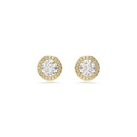 Swarovski 5686637 Kadın Küpe