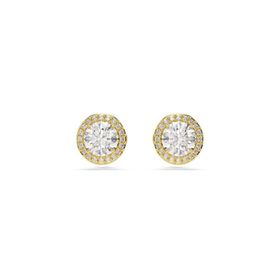 Swarovski 5686637 Kadın Küpe