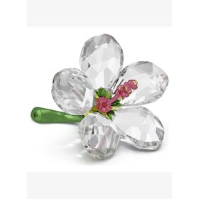 Swarovski 5690534 Florere Hibiscus S Biblo
