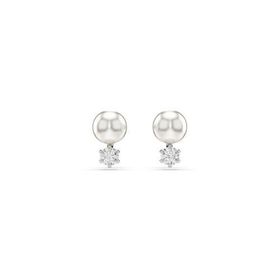 Swarovski 5694225 Kadın Küpe