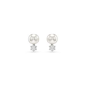 Swarovski 5694225 Kadın Küpe
