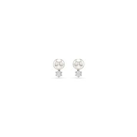 Swarovski 5694225 Kadın Küpe